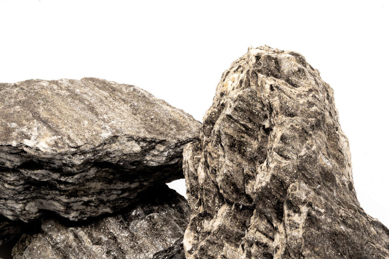 Ancient petrified stone from UNSHARDSCAPE, showcasing textured, weathered surface with natural mineral patterns.