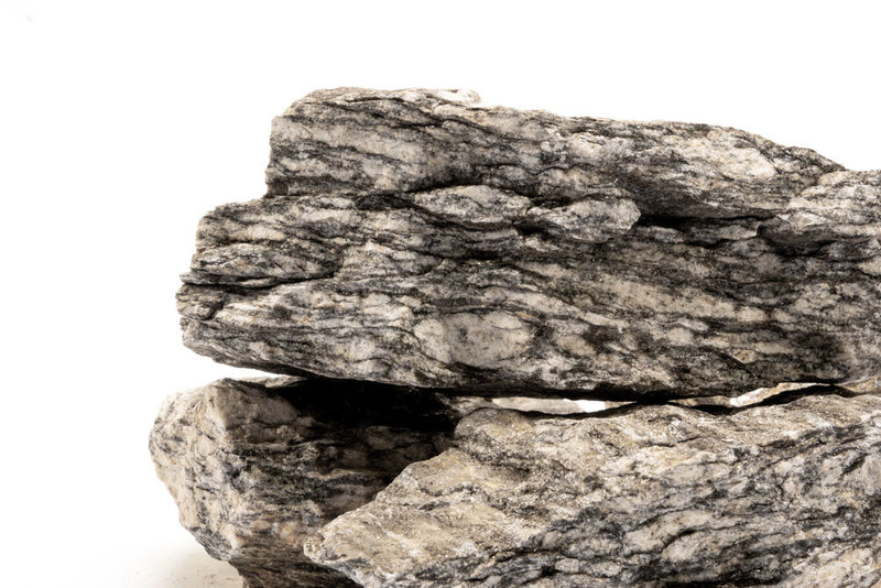 Close-up of a ancient petrified stone showing textured, weathered surface with natural mineral patterns, from UNSHARDSCAPE.