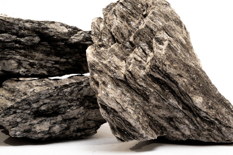 Ancient petrified stone from UNSHARDSCAPE showing a textured, fossilized mineral formation with earthy colors and detailed surface.