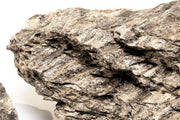 Ancient petrified stone from UNSHARDSCAPE showing textured, weathered surface with natural mineral patterns and earthy tones.
