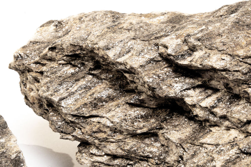Ancient petrified stone from UNSHARDSCAPE showing textured, weathered surface with natural mineral patterns and earthy tones.