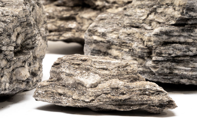 Ancient petrified stone from UNSHARDSCAPE showing textured, weathered surface with natural mineral patterns and earthy tones.