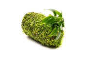 Anubias Minima on Christmas Moss Tower Aquatic Plant - Buce Plant