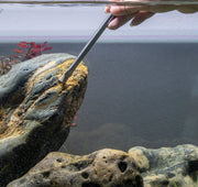 Aquaworx Algae Brush accessory with sturdy bristles for cleaning algae from pond and aquarium surfaces.