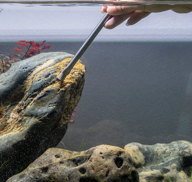 Aquaworx Algae Brush accessory with sturdy bristles for cleaning algae from pond and aquarium surfaces.