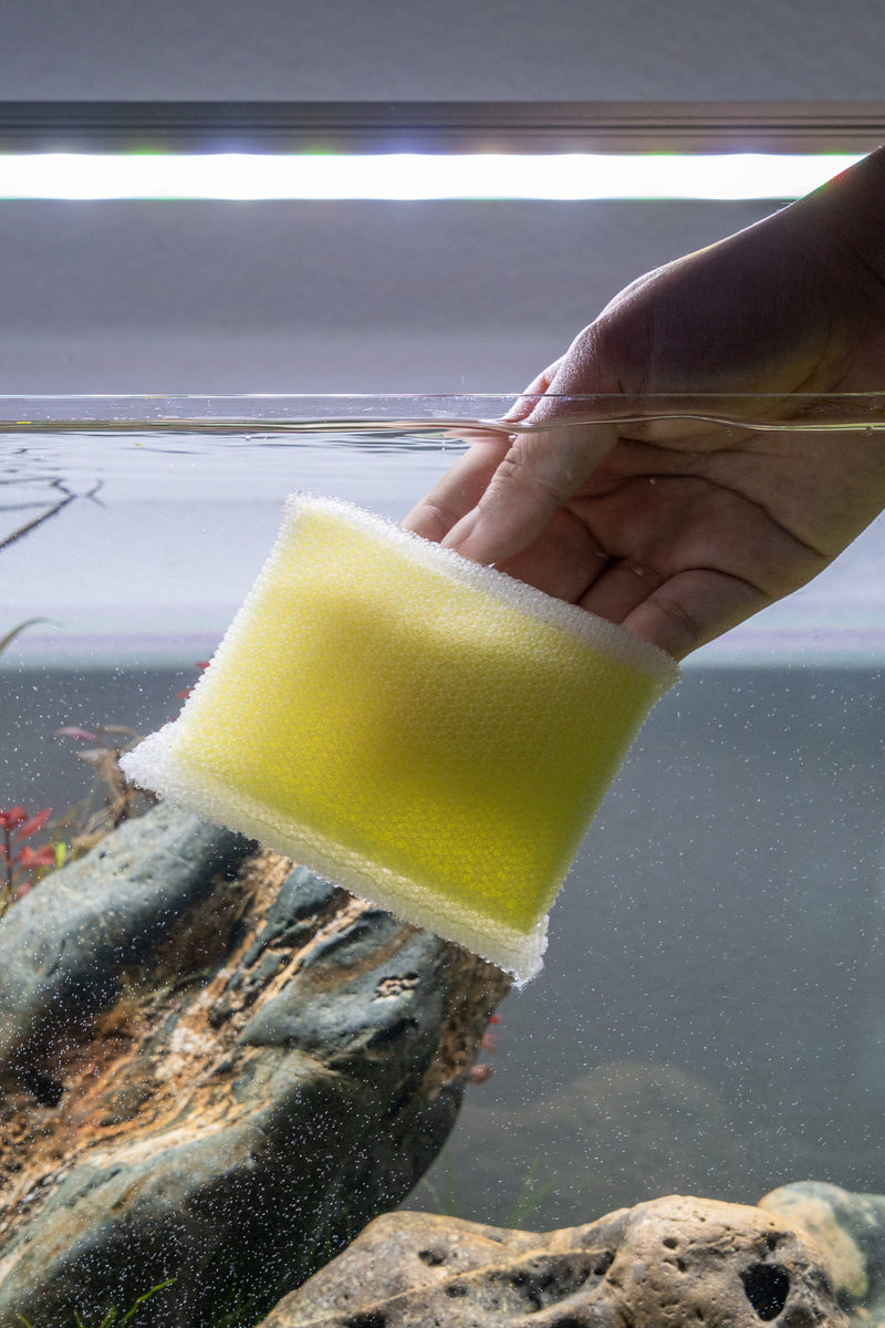 Aqua Worx algae sponge pad, a cleaning accessory by Aquaworx, showing a soft, textured sponge for algae removal in aquariums.