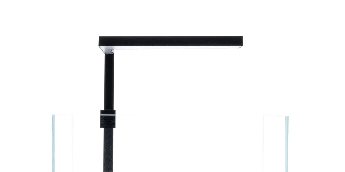 Aqua Worx Orion Nano LED Light — Buce Plant