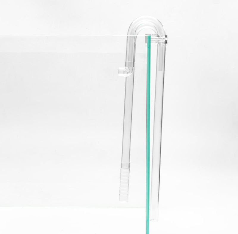 Aquario Neo Flow Lily Pipes Accessories - Buce Plant