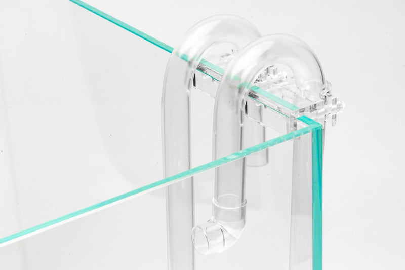 Aquario Neo Flow Lily Pipes Accessories - Buce Plant
