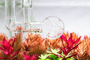 Aquario Neo Flow Lily Pipes premium aquarium accessories with sleek, adjustable flow design for efficient water circulation.