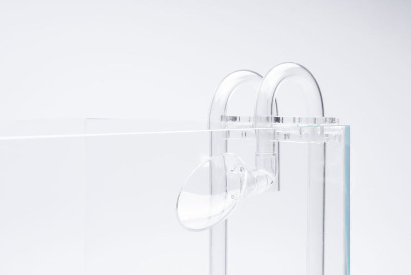 Aquario Neo Outlet Filters - Buce Plant