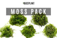 Aquarium Moss Collector Pack - BucePlant.com