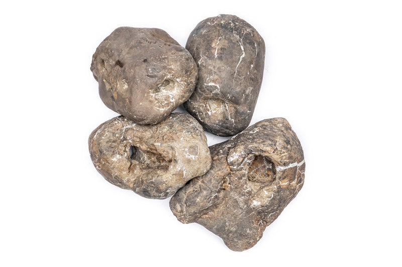 Unshardscape Ash Stone, natural gray stone with textured surface, ideal for landscaping and decorative projects.