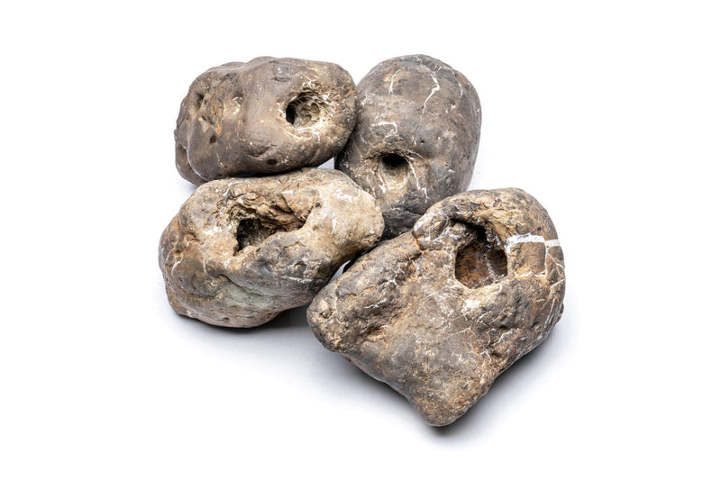 Gray Ash Stone from UNSHARDSCAPE, natural decorative stone with textured surface, suitable for landscaping and crafts.