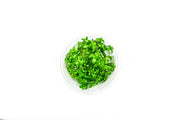 Bacopa Monnieri Aquatic Farmer Tissue Culture Aquatic Plant - Buce Plant