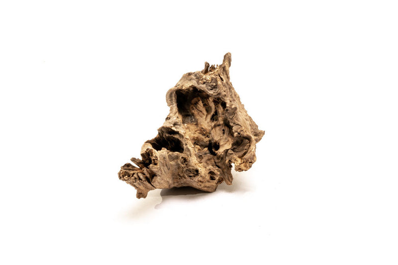 Medium-sized driftwood basin made of natural wood by UNSHARDSCAPE, showing textured, weathered wood with a smooth, rounded shape.