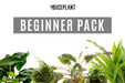 Beginner Plant Pack