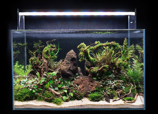 Black Lava Rock Aquarium Hardscape — Buce Plant