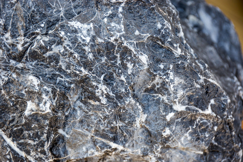 Black Mountain Seiryu Stone Stone - Buce Plant