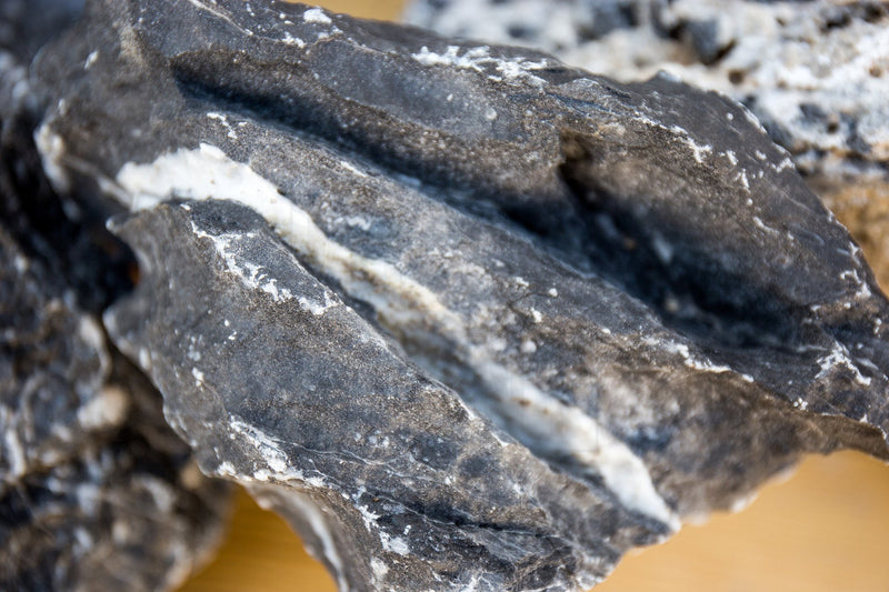 Black Mountain Seiryu Stone Stone - Buce Plant