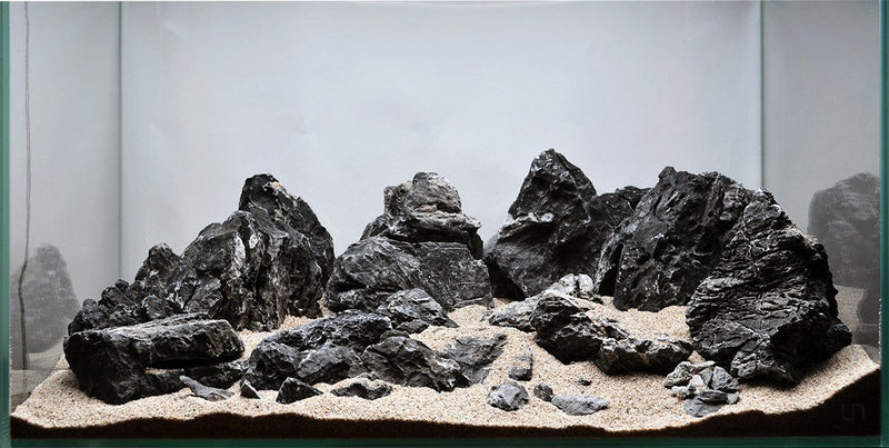 Black Mountain Seiryu Stone Stone - Buce Plant