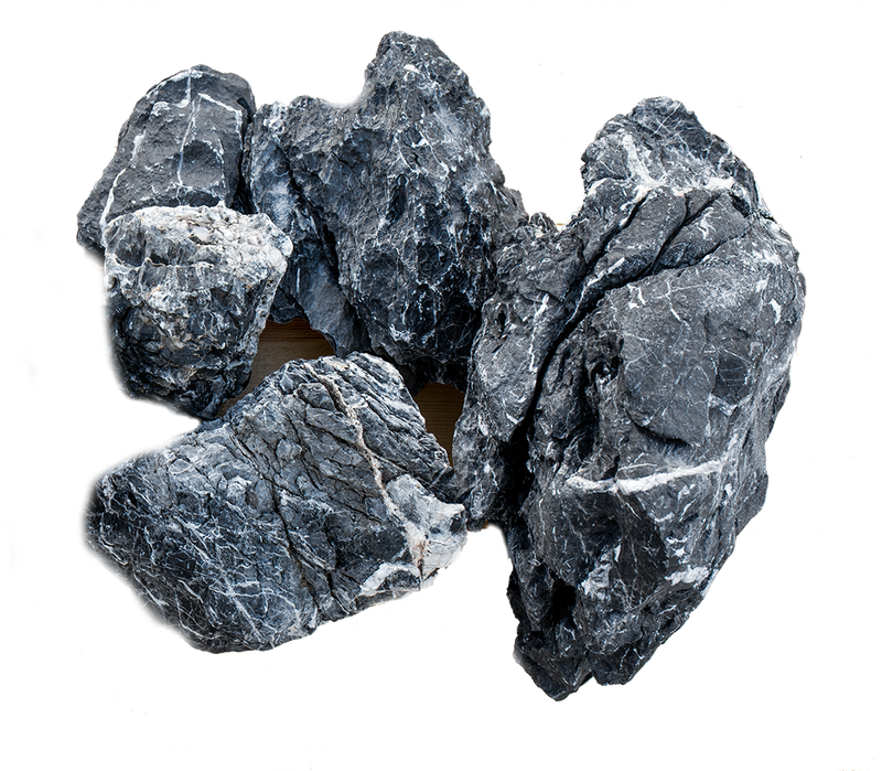 Black Mountain Seiryu Stone Stone - Buce Plant