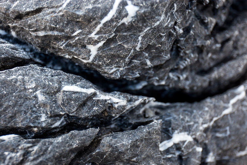 Black Mountain Seiryu Stone Stone - Buce Plant