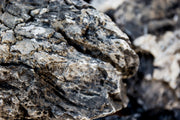 Black Mountain Seiryu Stone Stone - Buce Plant