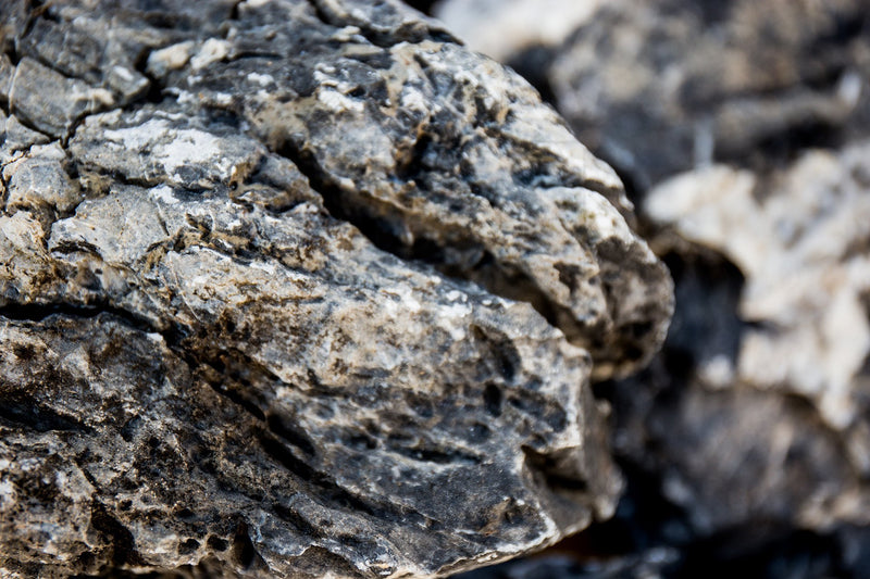 Black Mountain Seiryu Stone Stone - Buce Plant