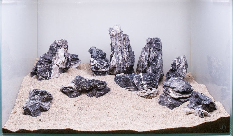 Black Mountain Seiryu Stone Stone - Buce Plant