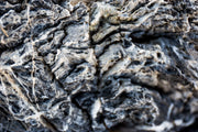 Black Mountain Seiryu Stone Stone - Buce Plant