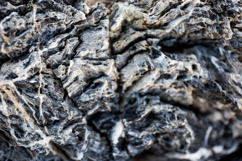 Black Mountain Seiryu Stone Stone - Buce Plant