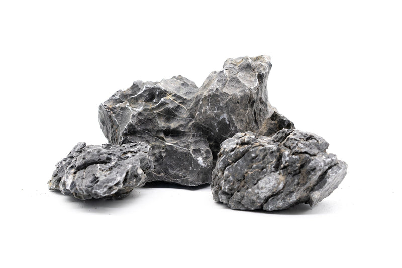 Blue Mountain Seiryu Stone Stone - Buce Plant
