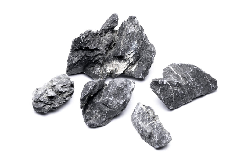 Blue Mountain Seiryu Stone Stone - Buce Plant