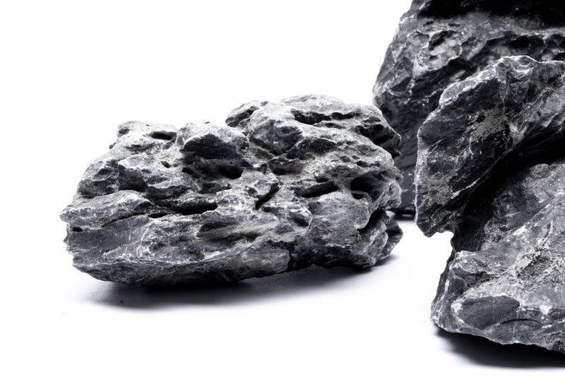 Blue Mountain Seiryu Stone Stone - Buce Plant