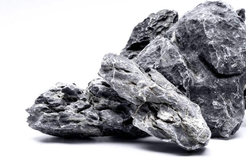 Blue Mountain Seiryu Stone Stone - Buce Plant