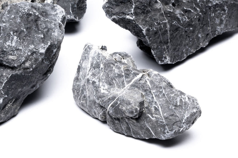 Blue Mountain Seiryu Stone Stone - Buce Plant