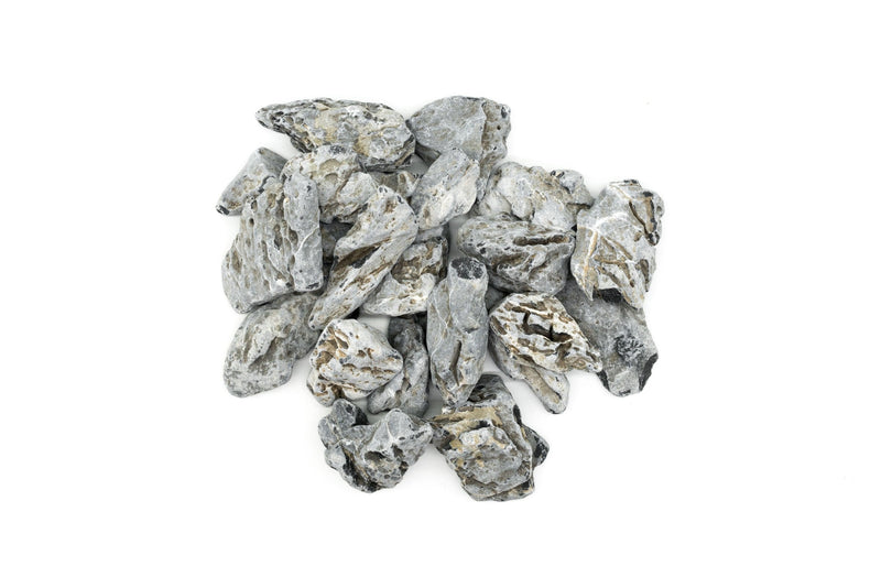Buce Plant Bonsai Driftwood Aquarium Kit with small bonsai-style driftwood, rocks, and planting materials for aquascaping.