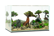 Buce Plant Bonsai Driftwood Scape Aquarium Starter Kit with miniature plants, driftwood, and accessories for aquatic decoration.