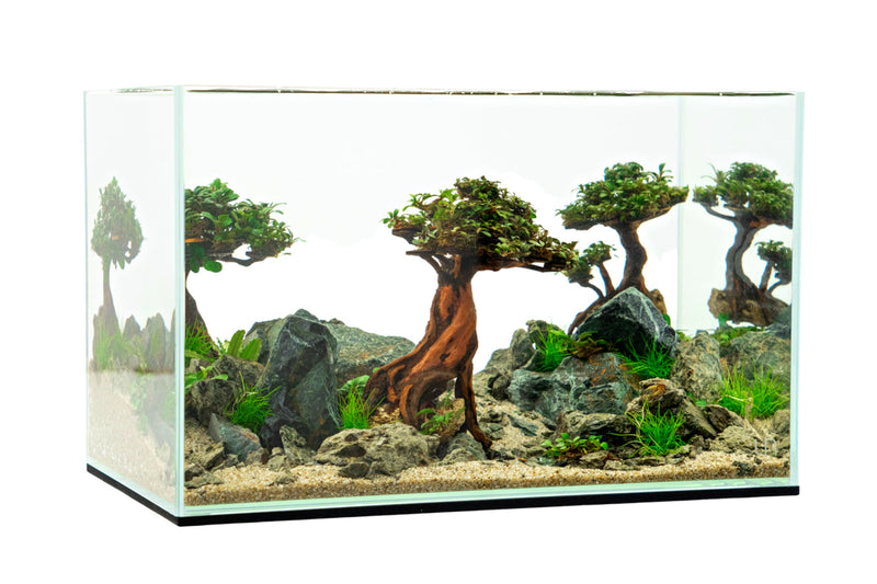Buce Plant Bonsai Driftwood Scape Aquarium Starter Kit with miniature plants, driftwood, and accessories for aquatic decoration.
