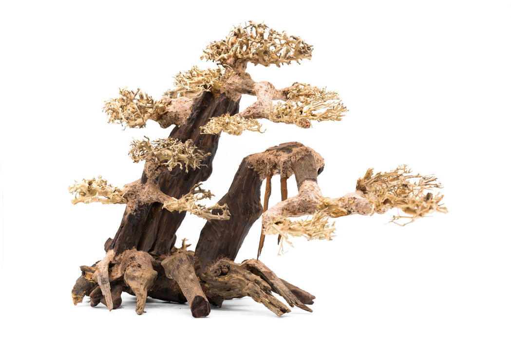 Bonsai Tree Aquarium Driftwood - Extra Extra Large