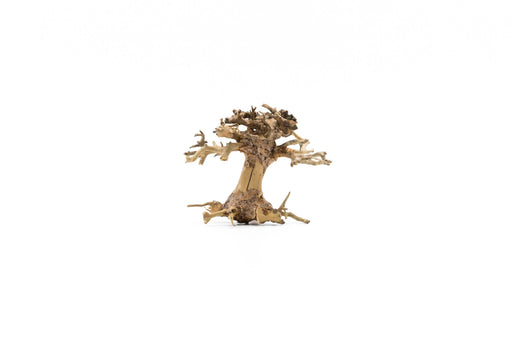 Bonsai Tree Aquarium Driftwood - Extra Extra Small