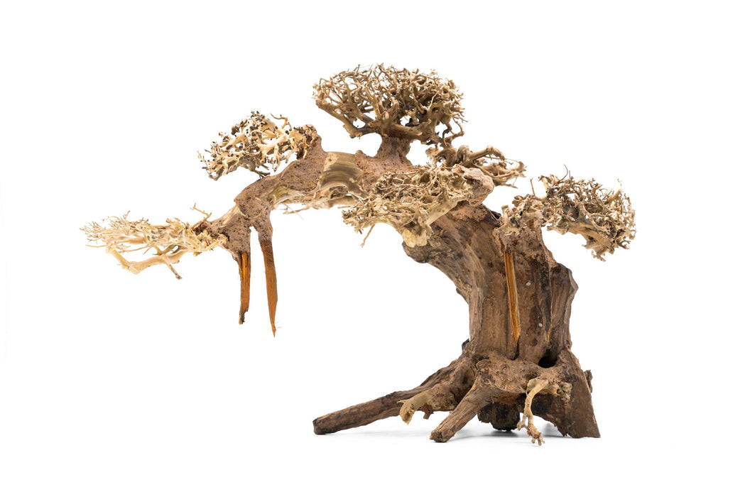 Bonsai Tree Aquarium Driftwood - Extra Large