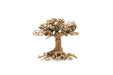Bonsai Tree Aquarium Driftwood - Extra Small