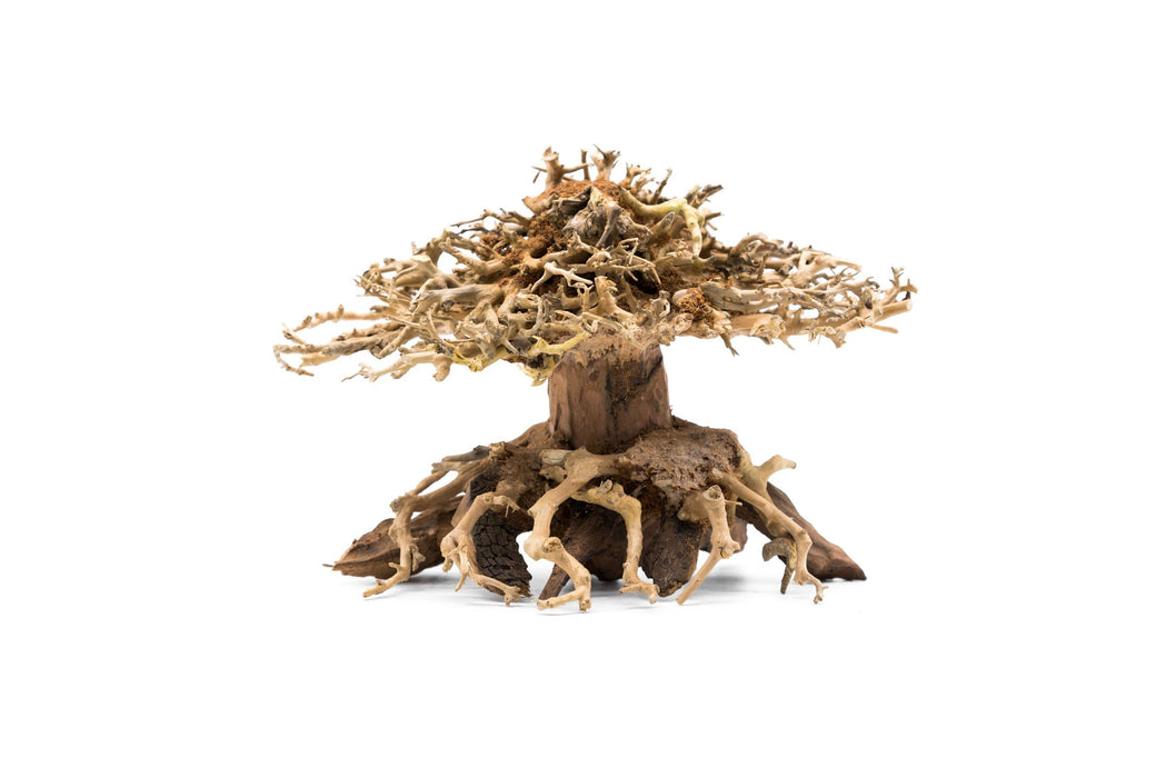 Bonsai Tree Aquarium Driftwood - Small