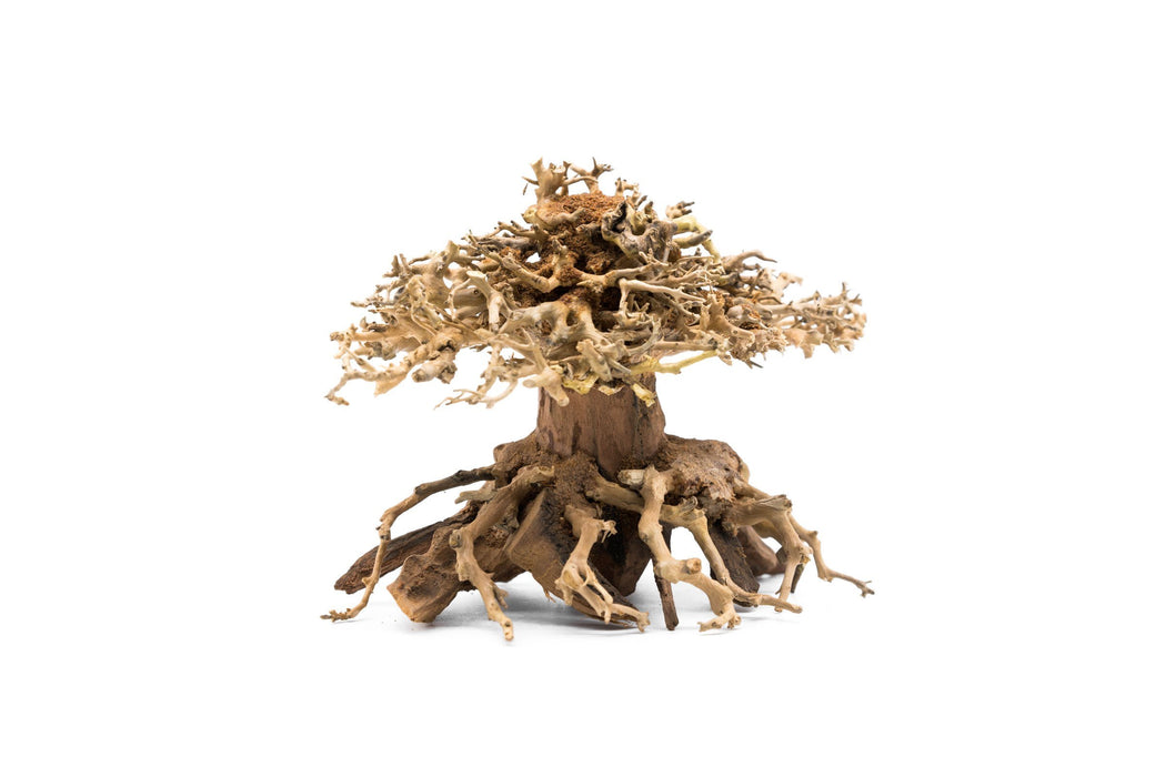 Bonsai Tree Aquarium Driftwood - Small