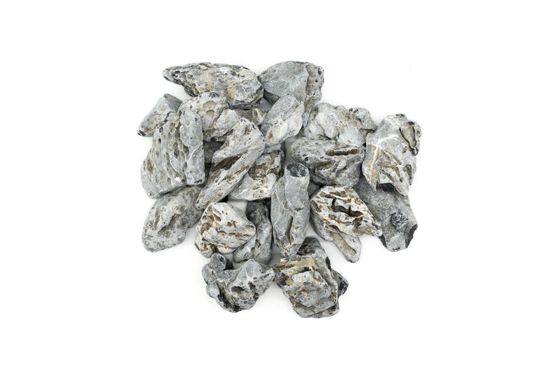 Seiryu Accent Stones Stone - Buce Plant