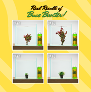 Buce Booster Aquarium Plant Super Serum water conditioner in a bottle, used for healthy aquatic plants and water quality.