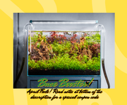 Buce Booster Aquarium Plant Super Serum water conditioner bottle with label for healthy aquatic plant growth.