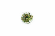 Bucephalandra Kedagang UNS Tissue Culture Aquatic Plant - Buce Plant